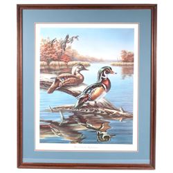 Wood Duck Reflections Meger Limited Edition Print