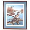 Image 1 : Wood Duck Reflections Meger Limited Edition Print