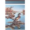 Image 2 : Wood Duck Reflections Meger Limited Edition Print