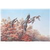 Image 6 : Wood Duck Reflections Meger Limited Edition Print