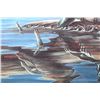 Image 7 : Wood Duck Reflections Meger Limited Edition Print