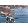 Image 8 : Wood Duck Reflections Meger Limited Edition Print