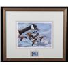 Image 11 : North American Game Bird Framed Prints & Stamp Set
