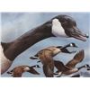 Image 13 : North American Game Bird Framed Prints & Stamp Set