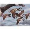 Image 14 : North American Game Bird Framed Prints & Stamp Set