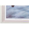 Image 16 : North American Game Bird Framed Prints & Stamp Set