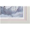 Image 17 : North American Game Bird Framed Prints & Stamp Set