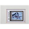 Image 18 : North American Game Bird Framed Prints & Stamp Set