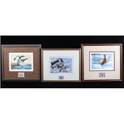 North American Game Bird Framed Prints & Stamp Set
