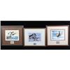 Image 1 : North American Game Bird Framed Prints & Stamp Set