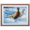 Image 22 : North American Game Bird Framed Prints & Stamp Set
