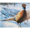 Image 23 : North American Game Bird Framed Prints & Stamp Set