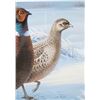 Image 24 : North American Game Bird Framed Prints & Stamp Set