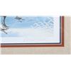 Image 26 : North American Game Bird Framed Prints & Stamp Set