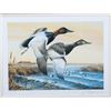 Image 3 : North American Game Bird Framed Prints & Stamp Set