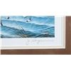 Image 7 : North American Game Bird Framed Prints & Stamp Set