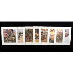 1917 DuPont Game Bird Art Prints