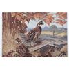 Image 22 : 1917 DuPont Game Bird Art Prints