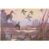 Image 30 : 1917 DuPont Game Bird Art Prints