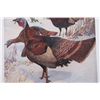 Image 35 : 1917 DuPont Game Bird Art Prints