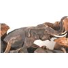 Image 9 : Large Hand Carved Teakwood Elephant Herd Statue