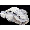 Image 8 : Dendritic Soapstone Signed Animal Sculptures