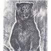 Image 3 : Bill O'Neill Morning Mist Grizzlies Print c. 1977