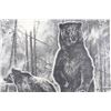 Image 7 : Bill O'Neill Morning Mist Grizzlies Print c. 1977
