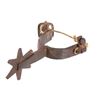 Image 10 : 1800's to Mid 1900's Assorted Western Spurs