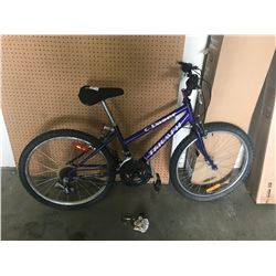 PURPLE TRIUMPH BIKE