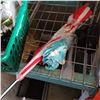Image 1 : LOT OF UMBRELLAS