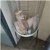 Image 3 : TALL BIRD CAGE ON STAND