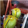 Image 2 : ELECTRIC WEEDEATER AND 2 HARD HATS