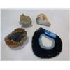 Image 3 : BOX OF CORAL AND SEASHELLS