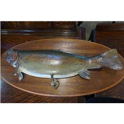 MOUNTED RAINBOW TROUT