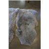 Image 4 : 2 GREY WINDWARD SHEEP SKINS