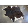 Image 2 : COW HIDE