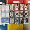 Image 6 : BINDER OF NHL INSERT CARDS