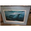 Image 1 : LEP 207/475 THE SEA OF CORTEZ BY BRUCE MUIR