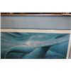Image 2 : LEP 207/475 THE SEA OF CORTEZ BY BRUCE MUIR