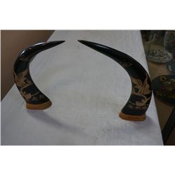 HAND CARVED BUFFALO HORNS