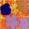 Image 1 : Andy Warhol- Silk Screen "Flowers 11.69"