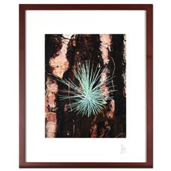 George Marlowe, "New Life 1" Framed Hand Signed Fine Art Photography with Certificate of Authenticit