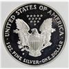 Image 2 : 1996-P AMERICAN SILVER EAGLE