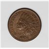 Image 1 : 1876 INDIAN CENT