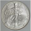 Image 1 : 2007-W AMERICAN SILVER EAGLE