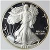 Image 1 : 1989 AMERICAN SILVER EAGLE