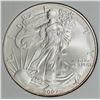 Image 1 : 2007-W AMERICAN SILVER EAGLE