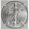 Image 1 : 2015 AMERICAN SILVER EAGLE