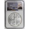 Image 3 : 2015 AMERICAN SILVER EAGLE